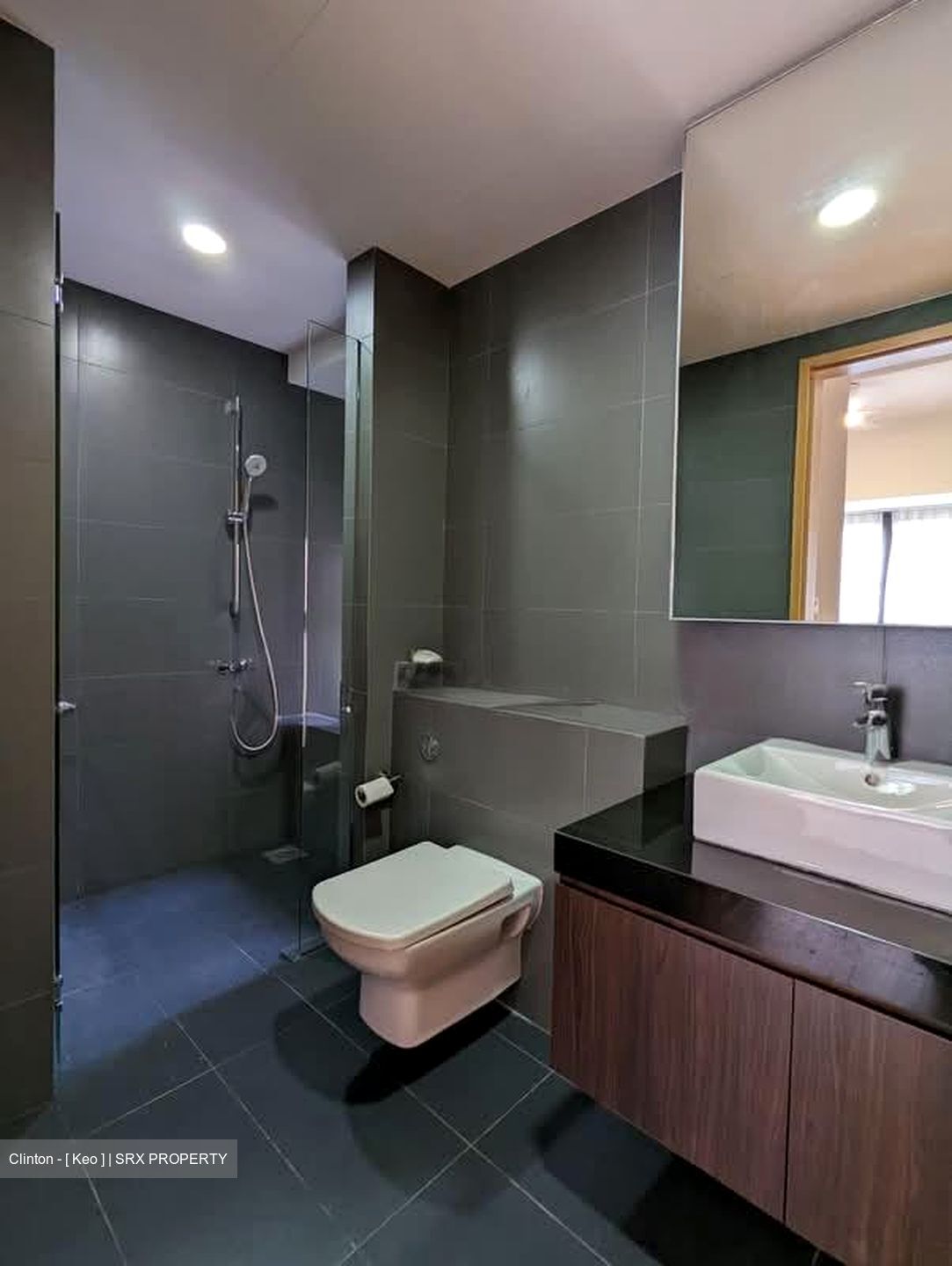 Meadows @ Peirce (D26), Condominium #569721161